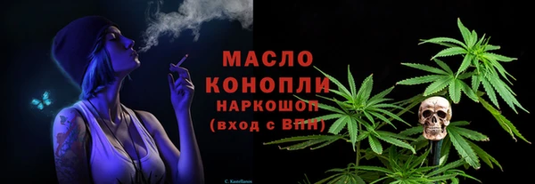 дмт Алексин