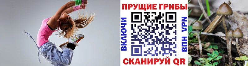 наркота Железногорск-Илимский Галлюциногенные грибы ЛСД